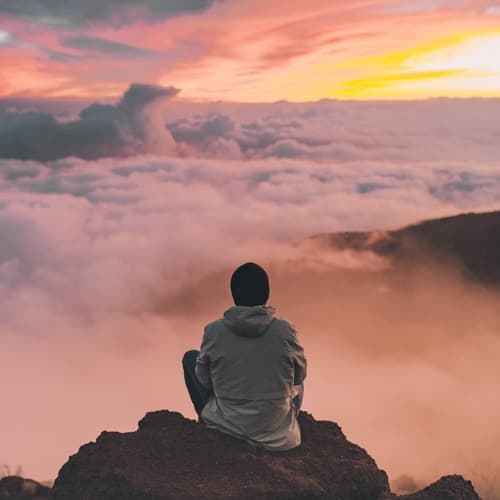 The Ascent of Man — Unity and Diversity