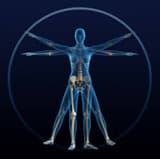 The spontaneous action of the body