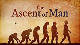 The Ascent of Man — Unity and Diversity
