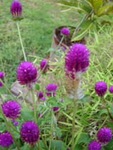 Death and Immortality