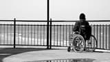 A consciousness perspective of disability
