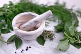 An overview of certain Āyurvedic herbs in the management of viral hepatitis