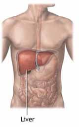 The prevalence of hepatitis B in India and its prevention with Āyurveda – a revisit