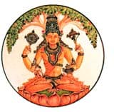 Immunity in Āyurveda