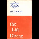 The metaphysical basis for Integral Health  — the Integral Manifestation