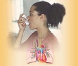 Management of mucus-related respiratory problems through sinus and airway cleaning exercises
