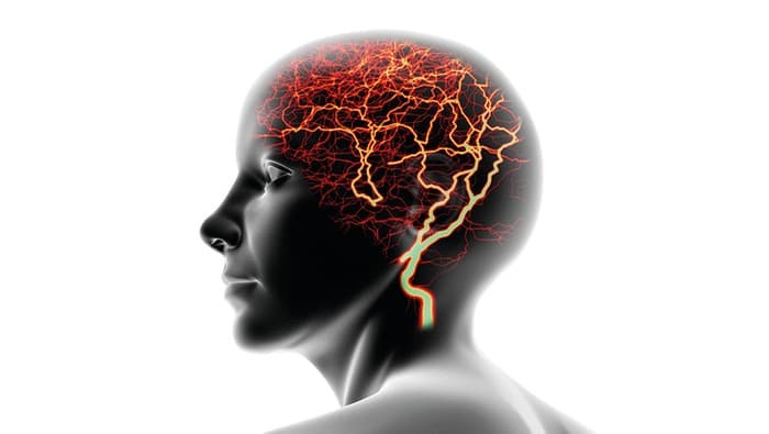 Pain-Pleasure-Indifference