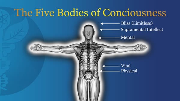 Working through the vital