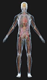 Body consciousness work